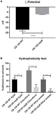 Mutation of the Surface Layer Protein SlpB Has Pleiotropic Effects in the Probiotic Propionibacterium freudenreichii CIRM-BIA 129